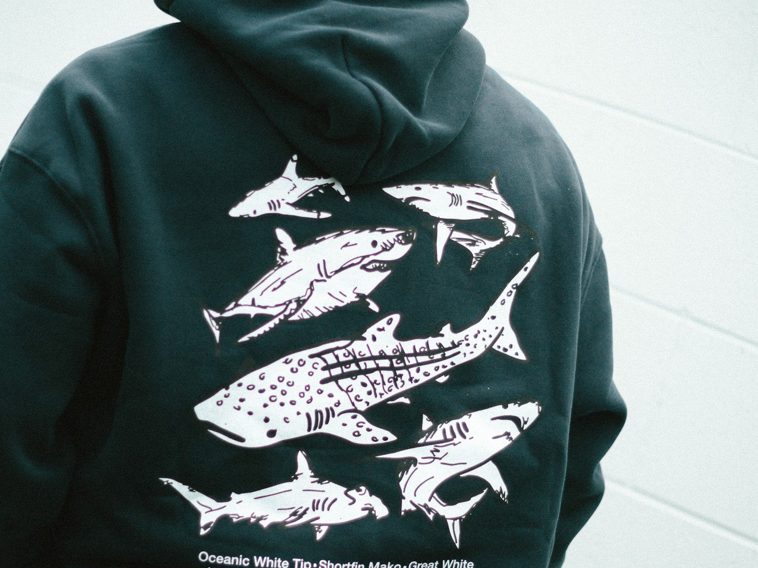 SHARKS HOOD - Shaggy