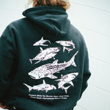 SHARKS HOOD - Shaggy