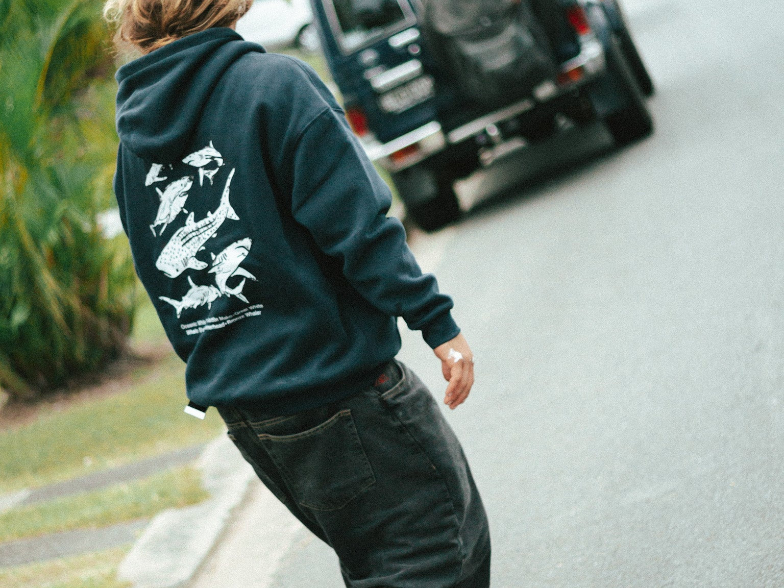 SHARKS HOOD - Shaggy