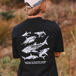 SHARKS T - SHIRT - Shaggy