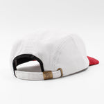 BONES 5 PANEL - Shaggy