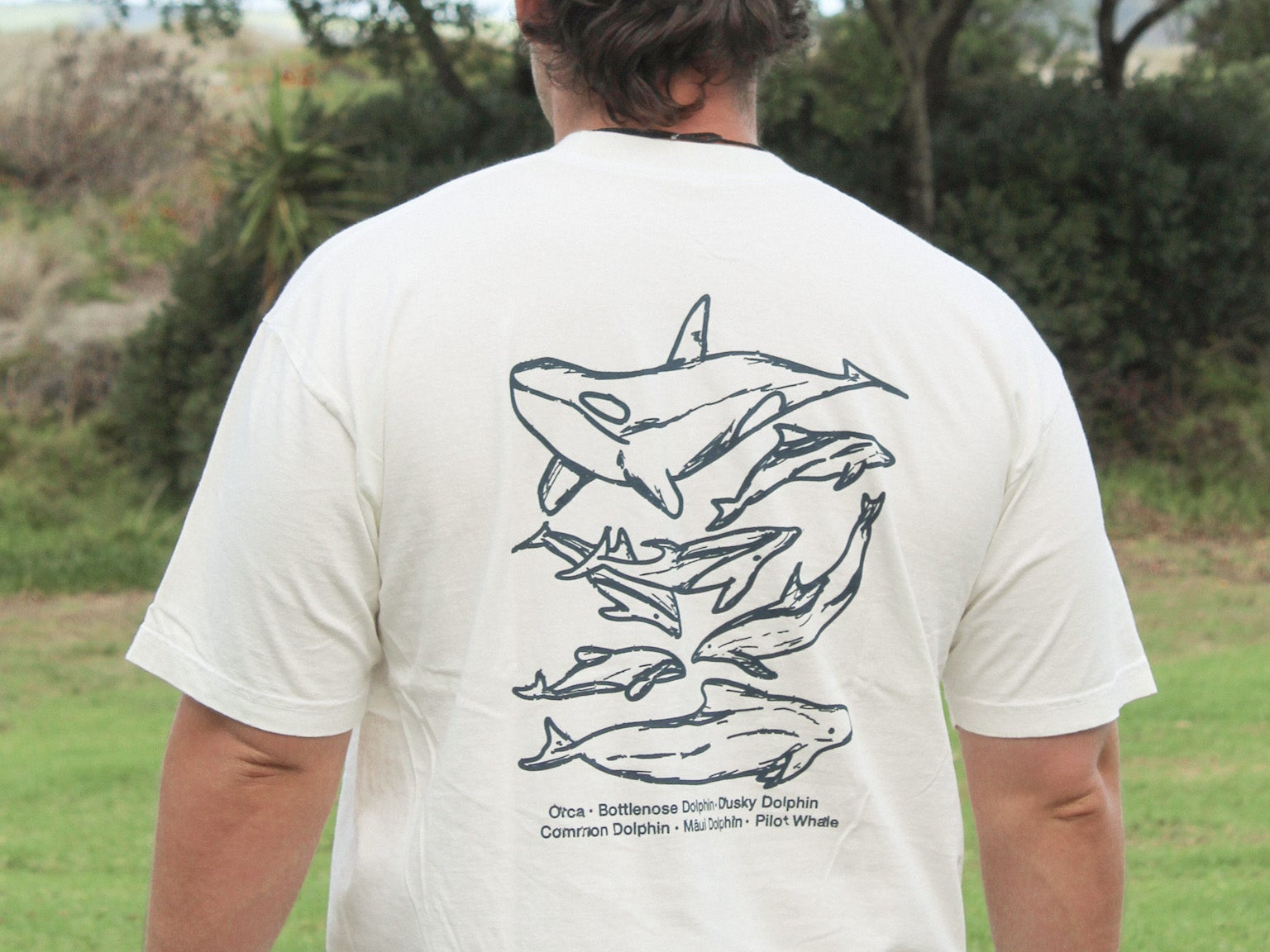 DOLPHINS T - SHIRT - Shaggy