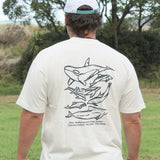 DOLPHINS T - SHIRT - Shaggy