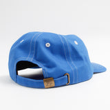 ELECTRIC 6 PANEL - Shaggy