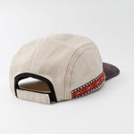 EXPERTS 5 PANEL - Shaggy