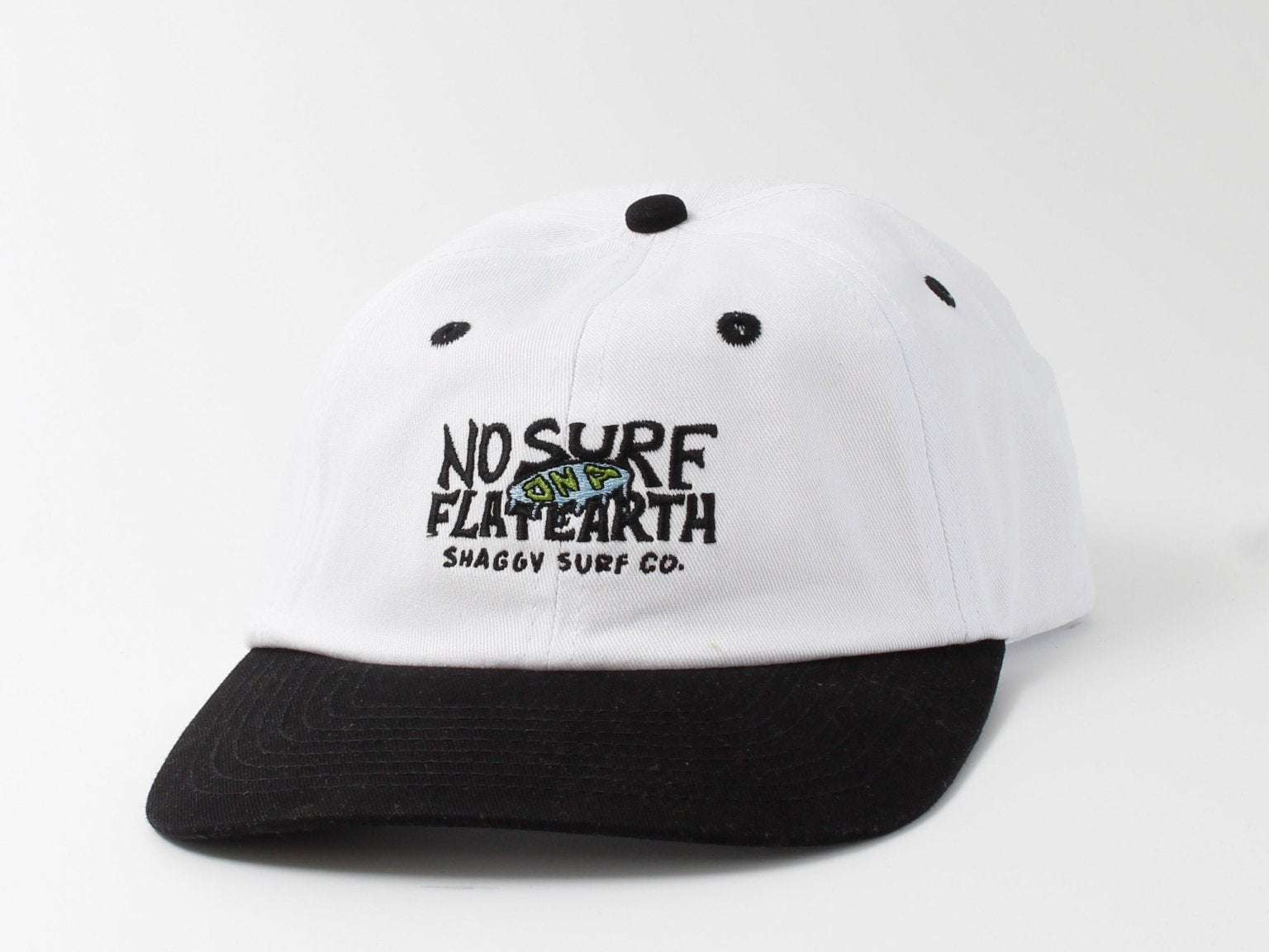 FLAT EARTH 6 PANEL - Shaggy