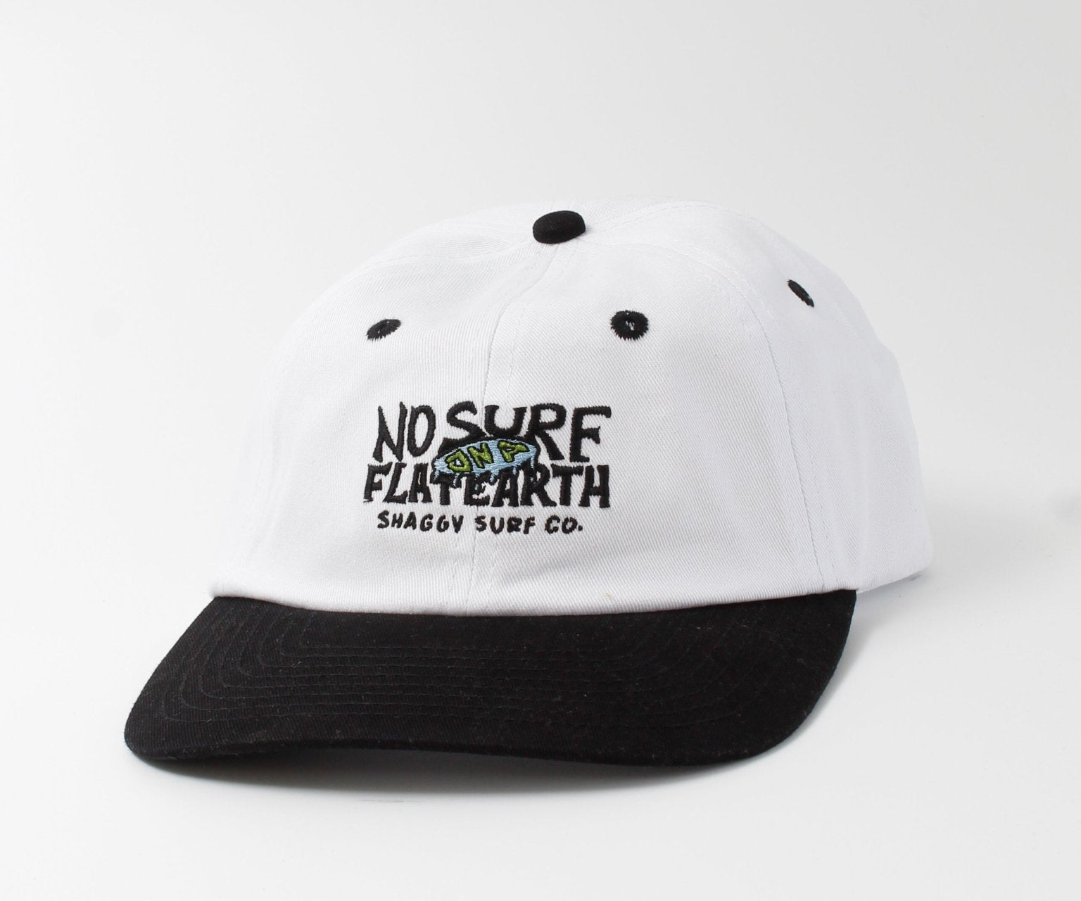 FLAT EARTH 6 PANEL - Shaggy