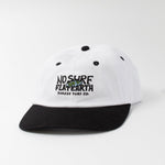 FLAT EARTH 6 PANEL - Shaggy