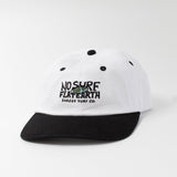 FLAT EARTH 6 PANEL - Shaggy