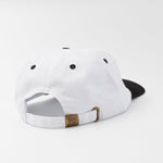 FLAT EARTH 6 PANEL - Shaggy