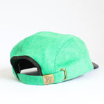 GOOD DOG 5 PANEL - Shaggy