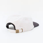 HOME 5 PANEL - Shaggy
