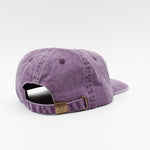 LOCAL BIRDS 6 PANEL - Shaggy