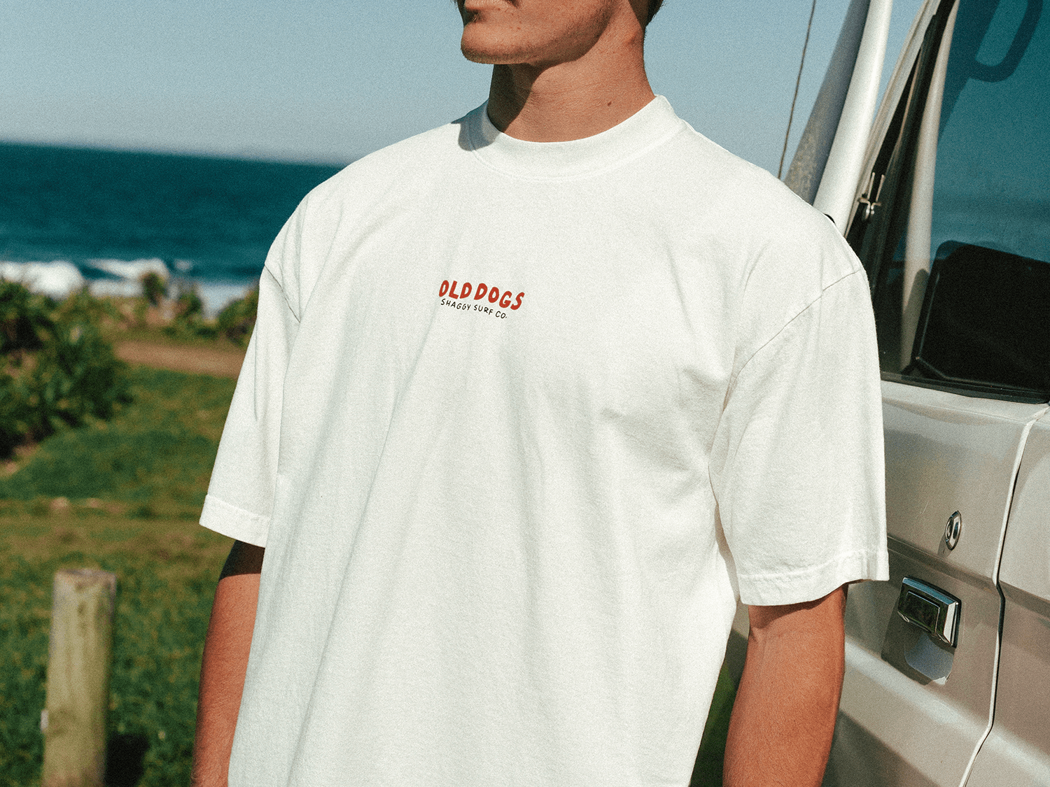 OLD DOGS T - SHIRT - Shaggy