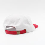 PIE 6 PANEL - Shaggy