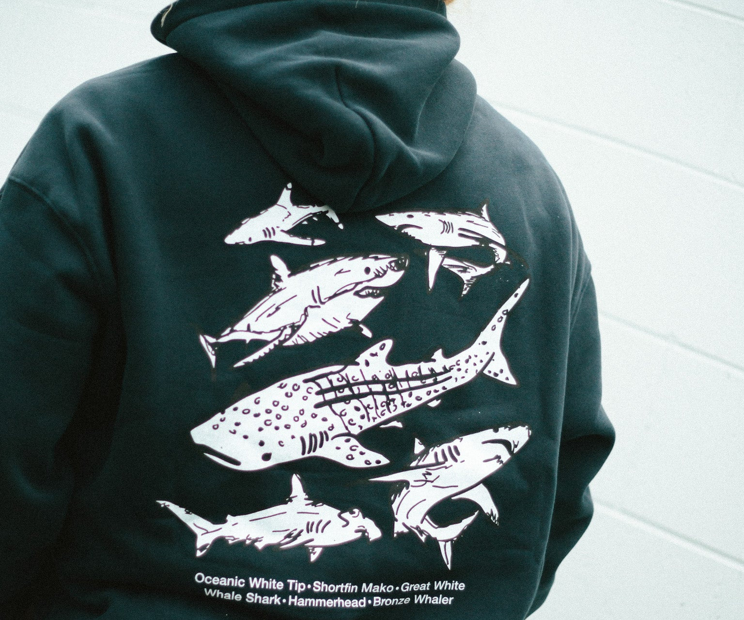SHARKS HOOD - Shaggy