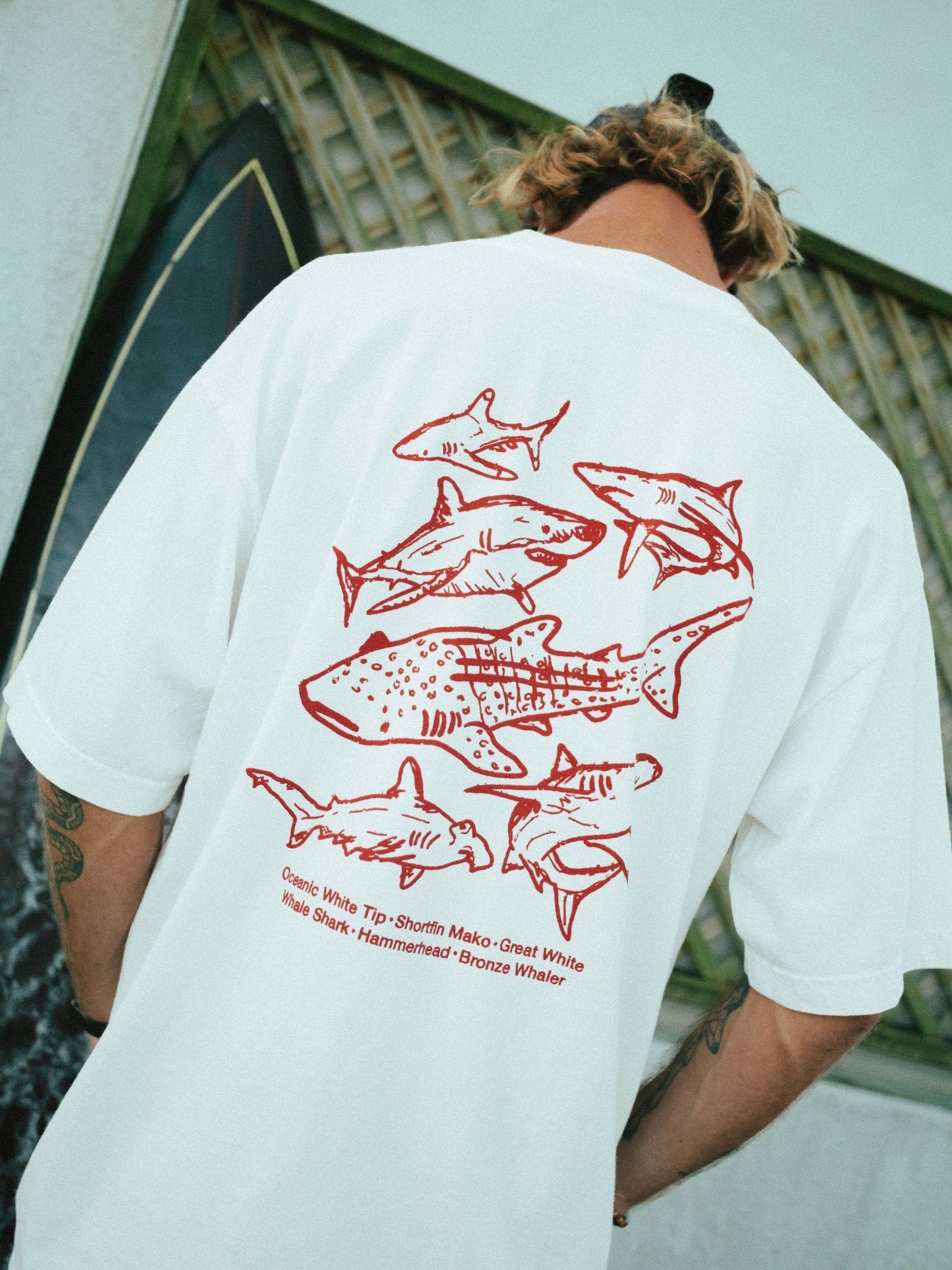 SHARKS T-SHIRT – Shaggy
