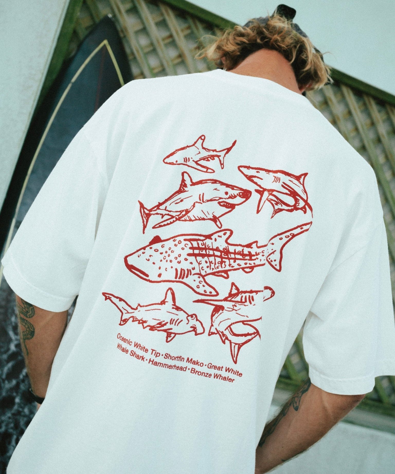 SHARKS T - SHIRT - Shaggy