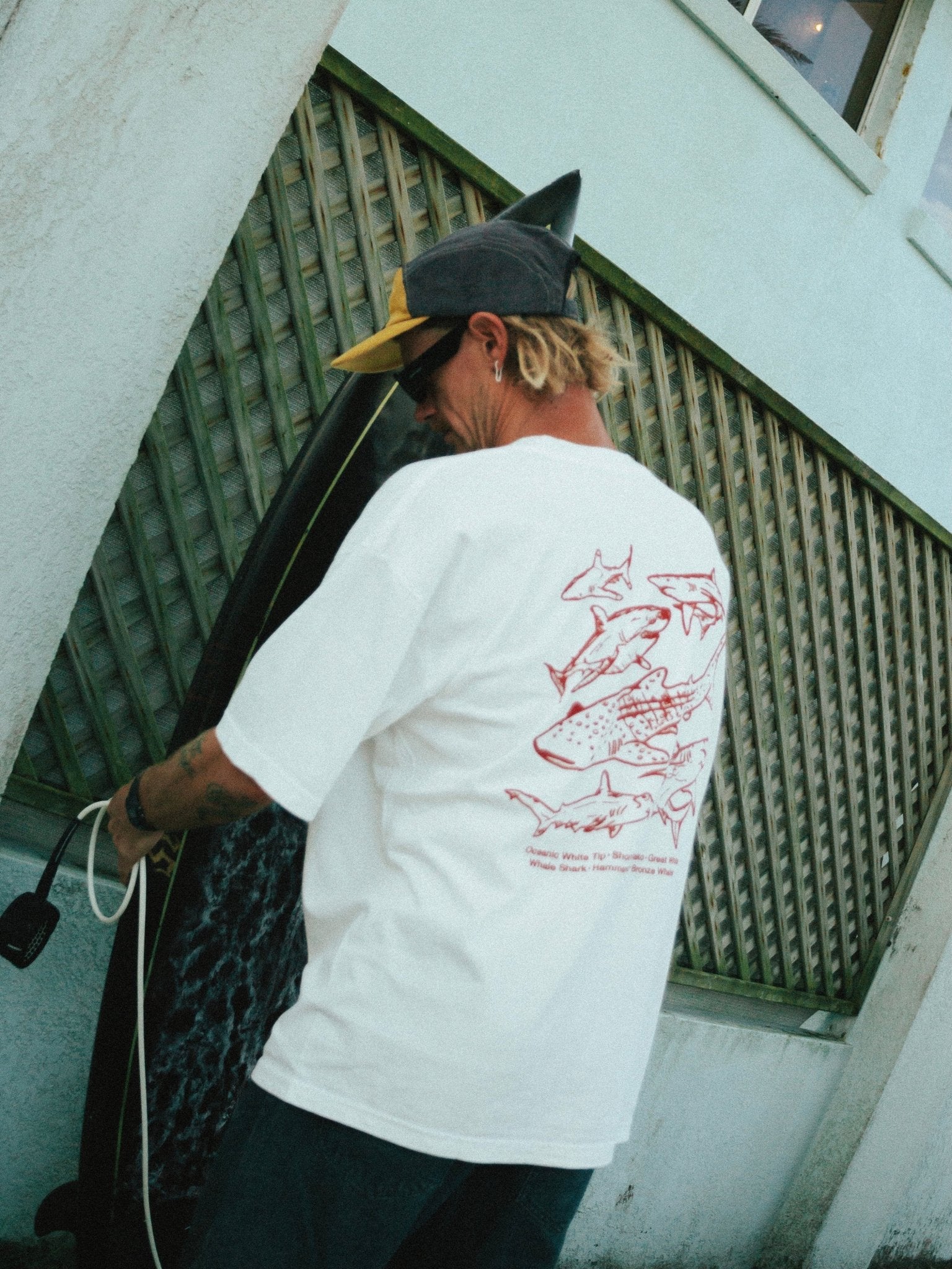 SHARKS T - SHIRT - Shaggy