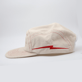 STATIC 5 PANEL - Shaggy