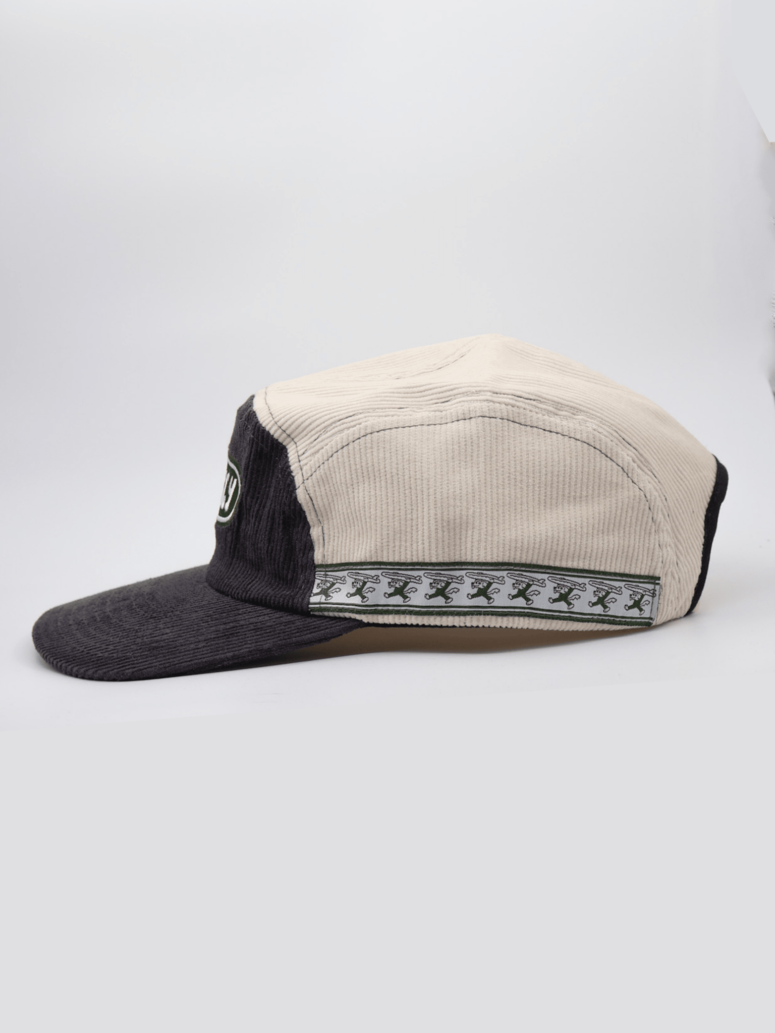 STRAY 5 PANEL - Shaggy