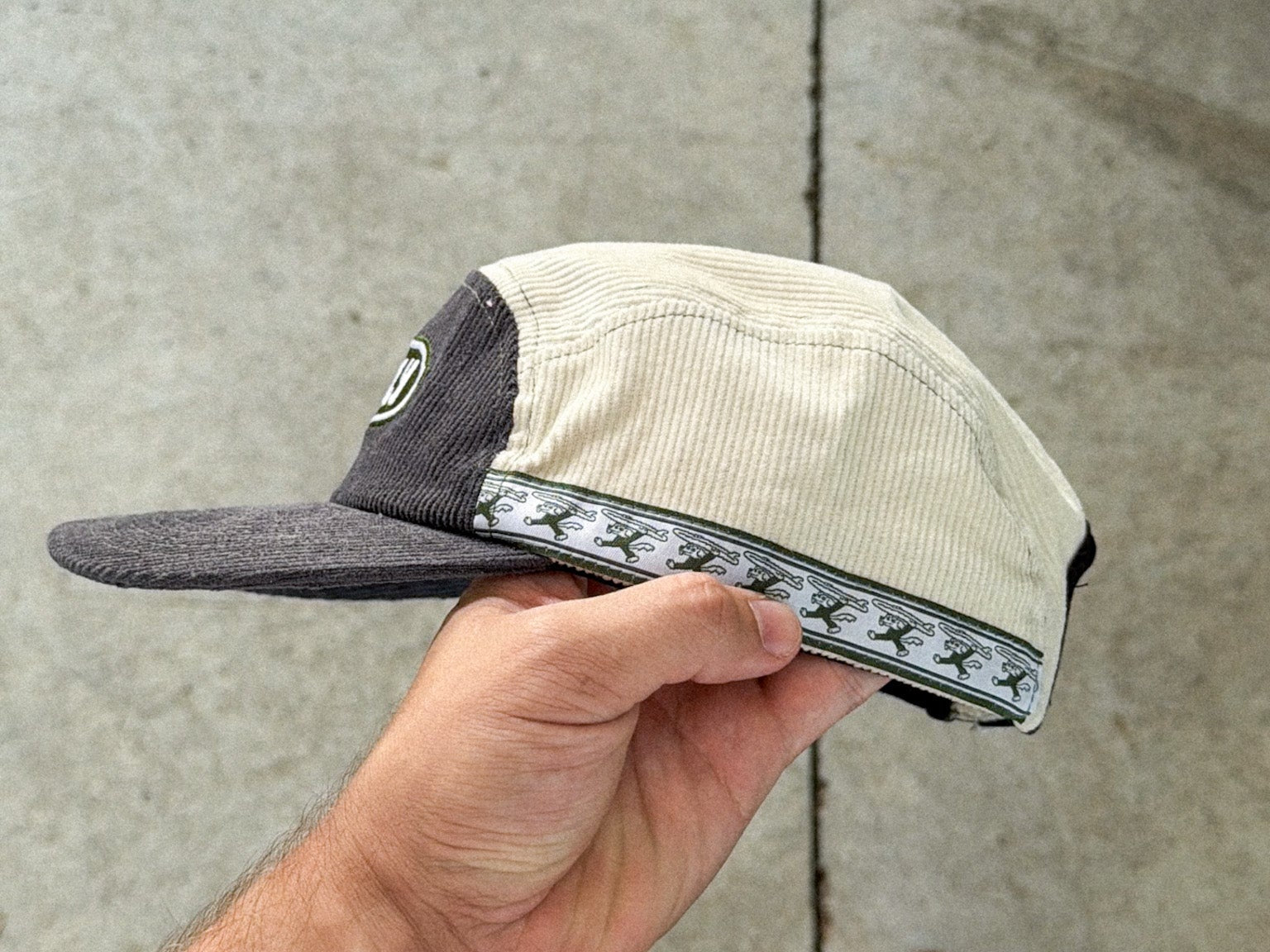 STRAY 5 PANEL - Shaggy