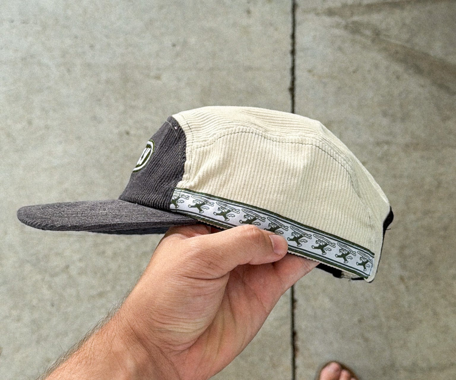 STRAY 5 PANEL - Shaggy