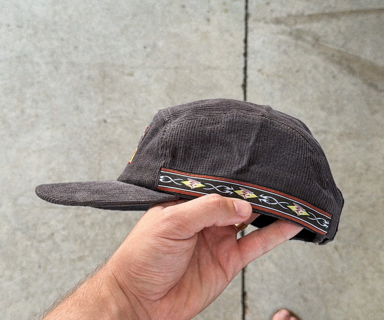 THREE DOGS 5 PANEL - Shaggy