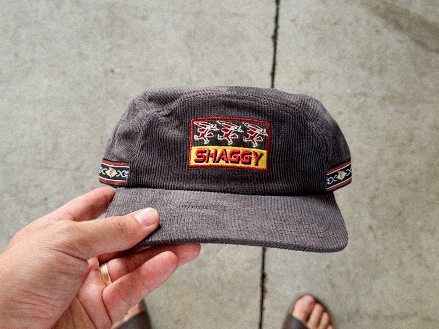 THREE DOGS 5 PANEL - Shaggy